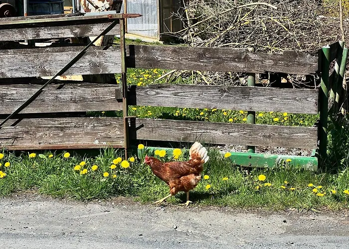 Lighthouse Ferienhaus Grafengehaig